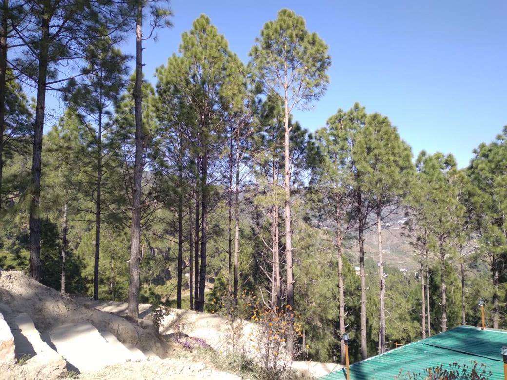 Nature Villaas Basa Homestay Pauri Eksteriør bilde